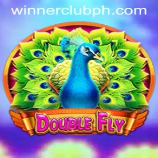 Discover the Thrilling World of DoubleFly: Join the WINNERCLUB